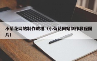 百色小菊花网站制作教程（小菊花网站制作教程图片）